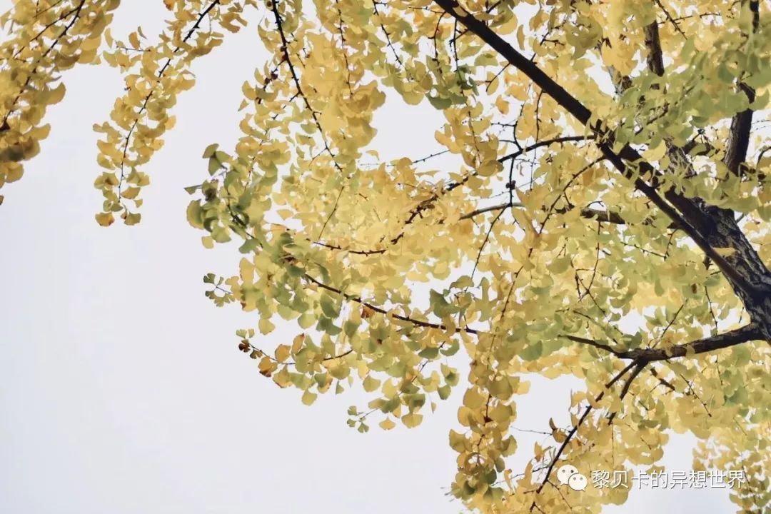 贝壳分享｜|她们说，秋冬也要认真穿