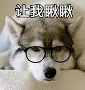 贵阳电子驾驶证开通了吗,贵阳犬证编号