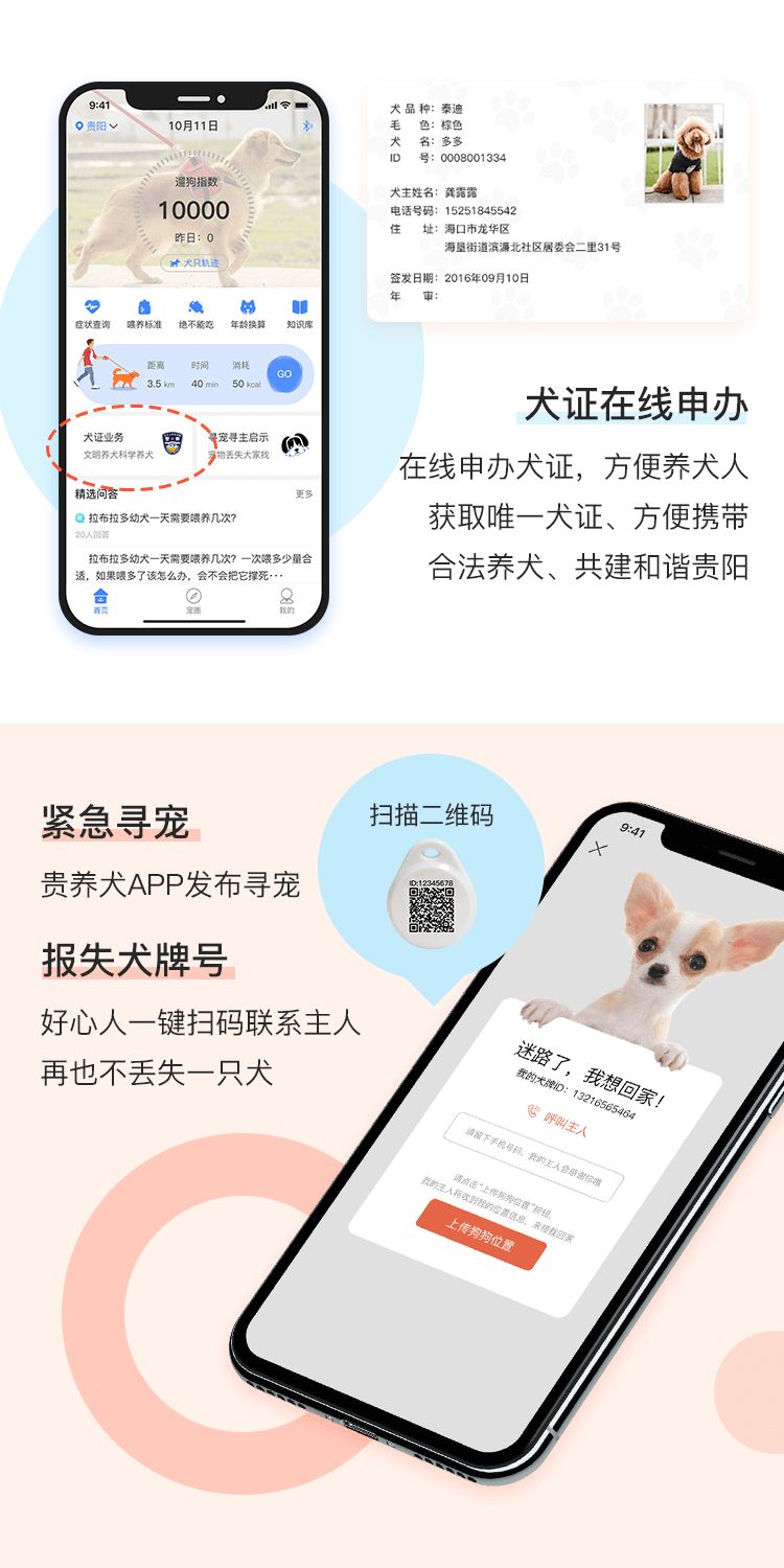 贵阳给狗狗办身份证,老狗办理电子犬证