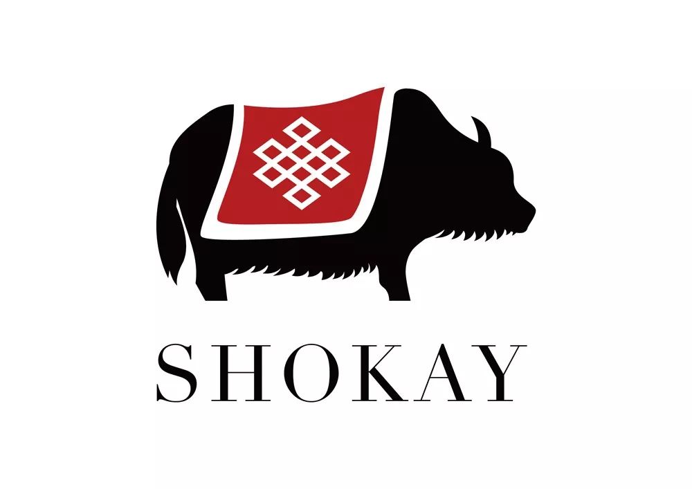 西藏牦牛毛编织衣服,牦牛绒毛衣编织