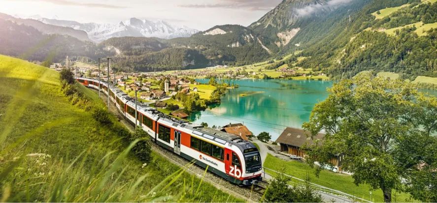 双11抢飞机票,双11送车