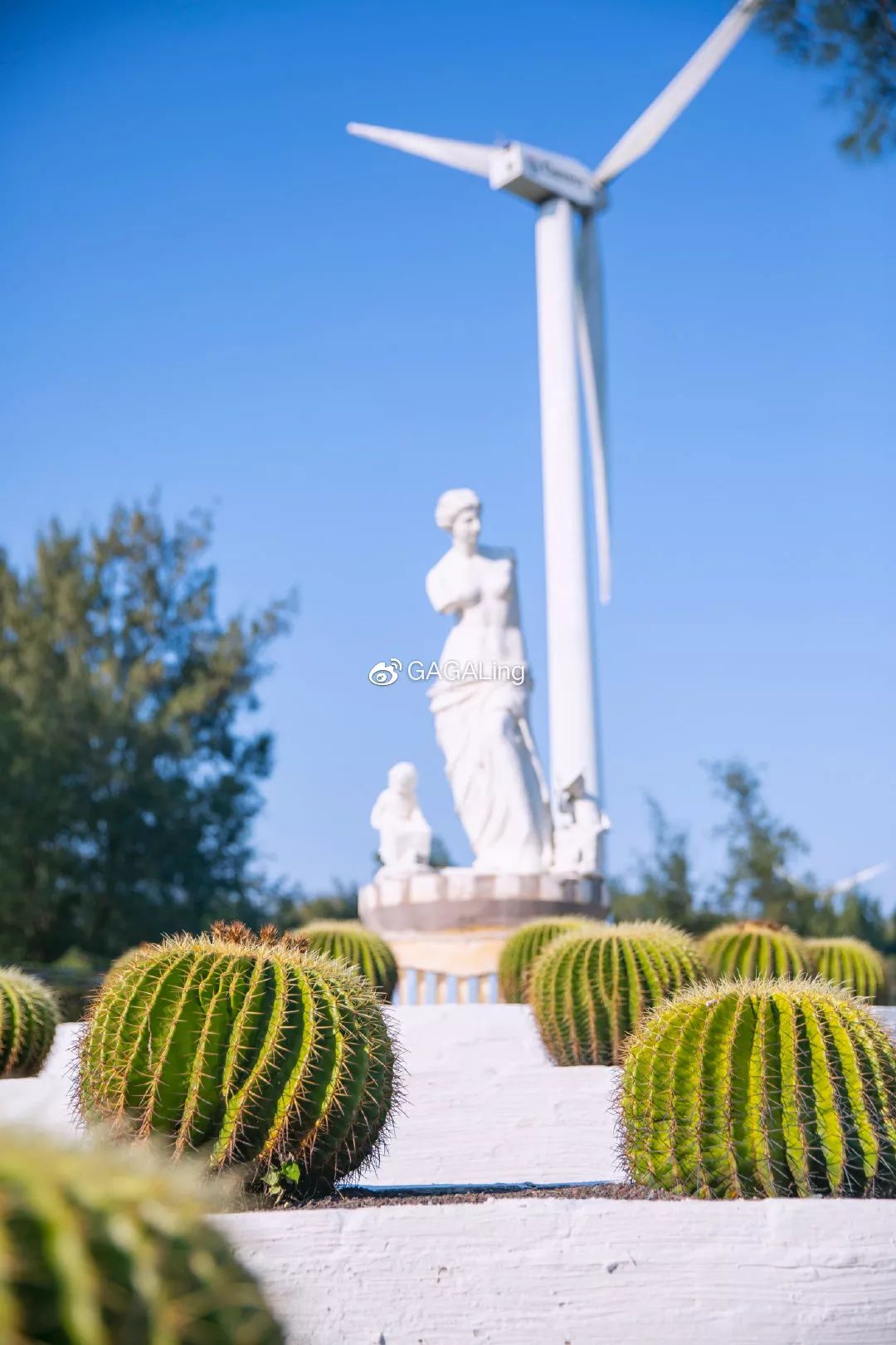 大V推荐|国内少有的黄金沙滩海岸，漳州六鳌游玩必备攻略，拍照小贴士！