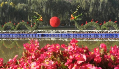 全国绿化奖章甘肃获得者,国土绿化模范单位荣誉称号