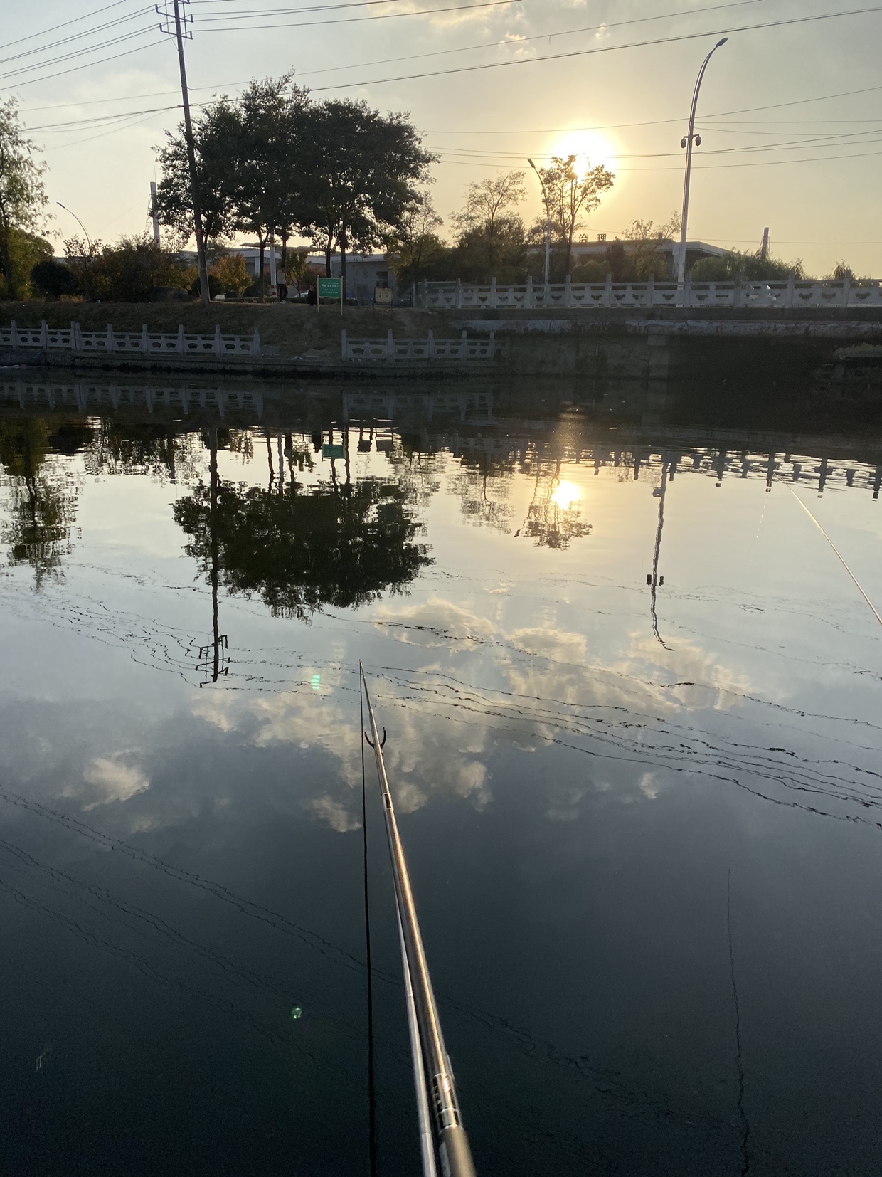 窝里鱼有泡但不开口怎么办,窝里有鱼没口什么原因