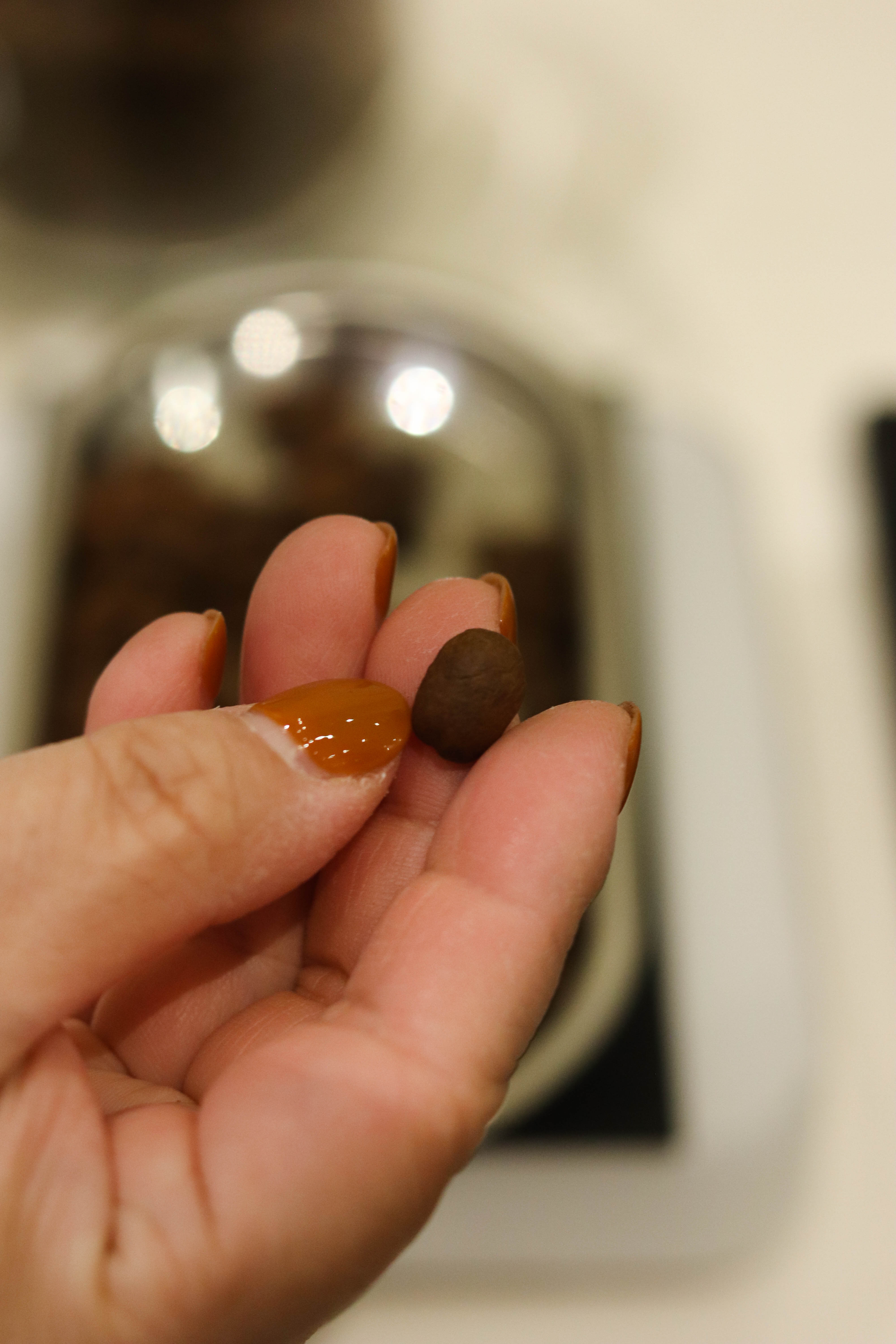 芳野cafe主理人,芳野咖啡店