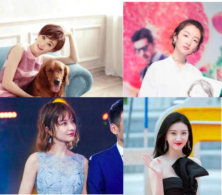 人间富贵花的颜值变化,被人夸人间富贵花回复什么更美