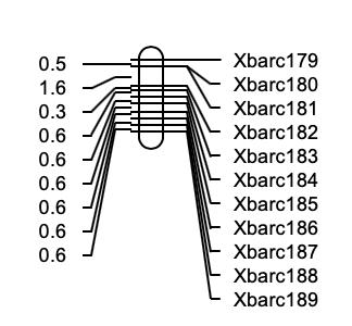 如何绘制交叉网状图,怎么快速画线性图