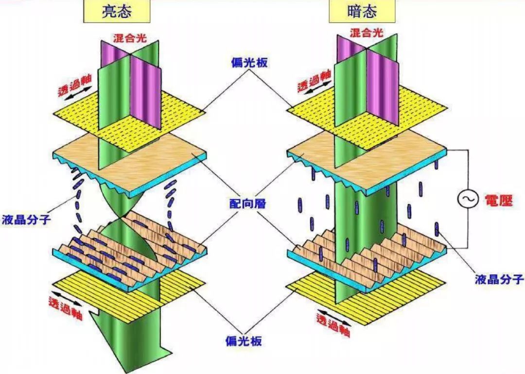 一招教你看手机屏幕,一天到晚都在看手机的结果是什么