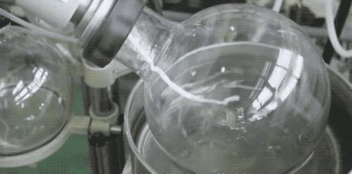 一招教你看手机屏幕,一天到晚都在看手机的结果是什么