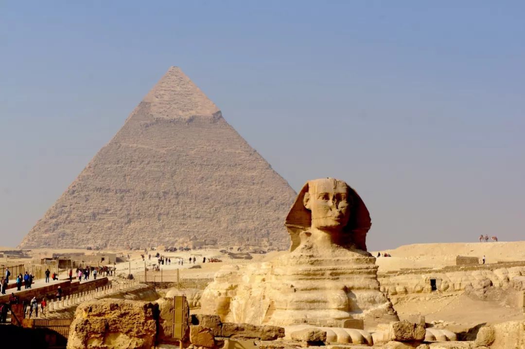 一半海水一半火焰在血液中奔跑,一半海水一半火焰在线阅读