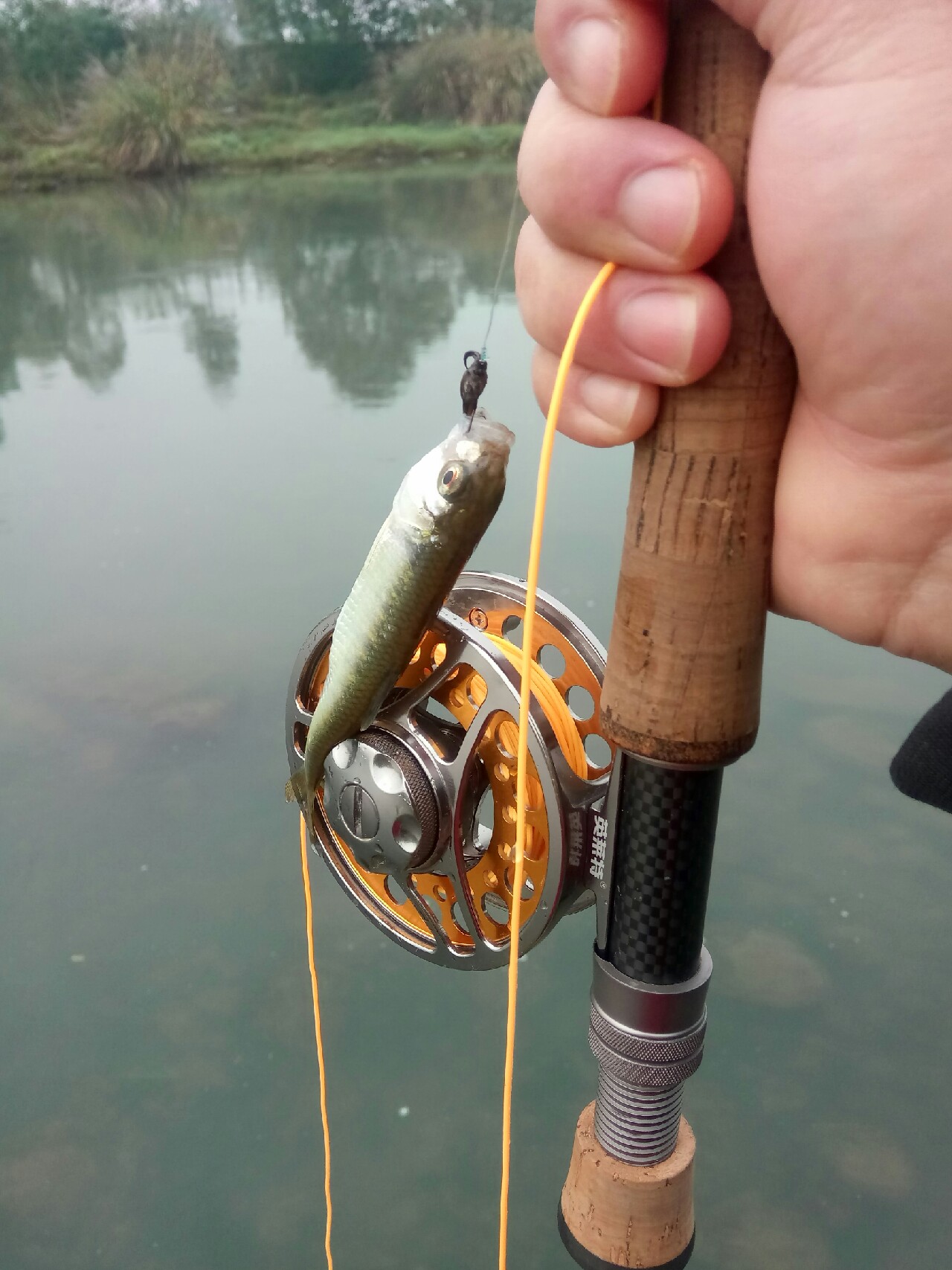 路亚飞蝇钩马口实战,路亚飞蝇钩怎么钓鲤鱼