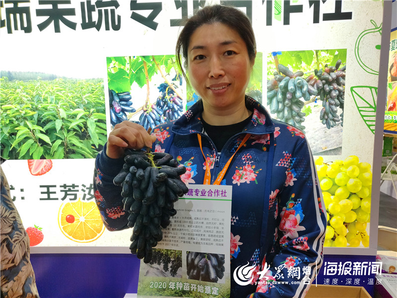 果蔬会成大课堂！莱州租7辆大巴车拉200余名农民组团取经