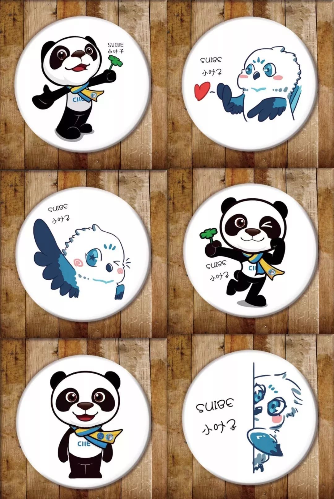 进博会小叶子徽章,进博会小叶子完整视频