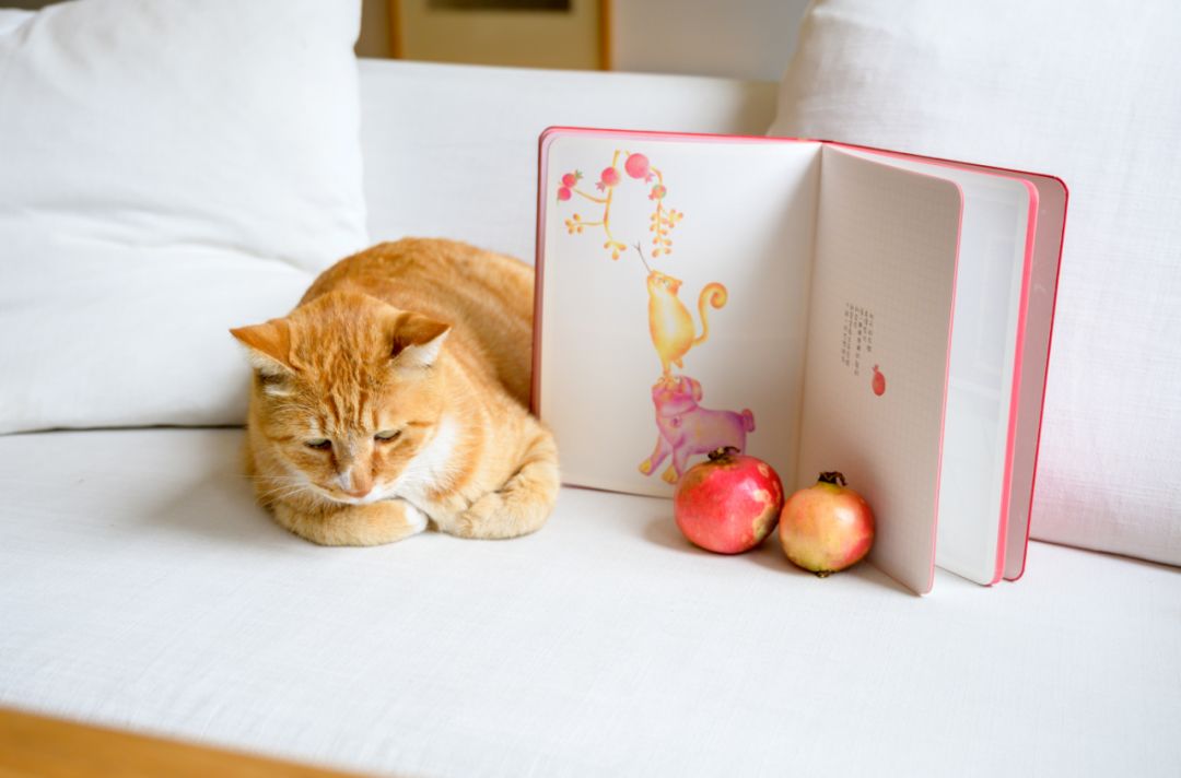 故宫600年故宫图,故宫100张照片原图