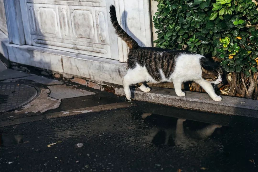 rf24-70浜屼唬闀滃ご娴嬭瘎,rf24-70f4闀滃ご娴嬭瘎