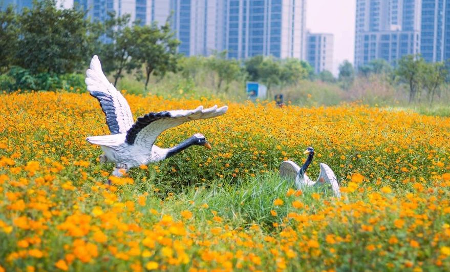 满城尽带黄金甲!在佛山,就能感受秋日童话的浪漫