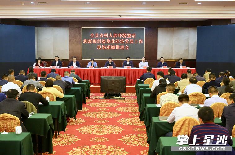 乡村振兴工作取得新进展新成效,乡村振兴考核取得优异成绩