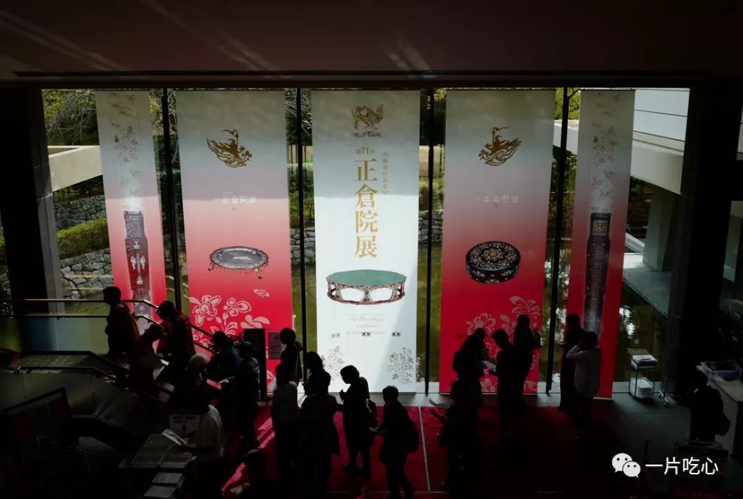 奈良的小鹿,奈良的小鹿最近新消息