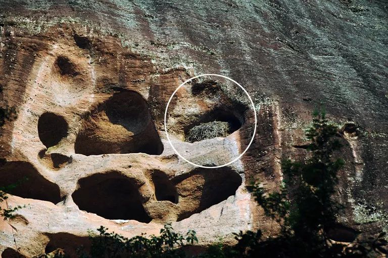 这条“藏在深闺人未识”的溪流,让你远离凡尘,沉醉于此