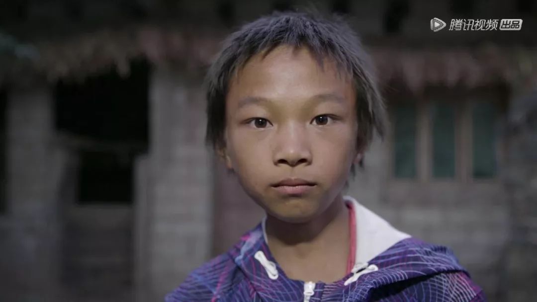 奇遇人生大鹏感动流泪,奇遇人生观看