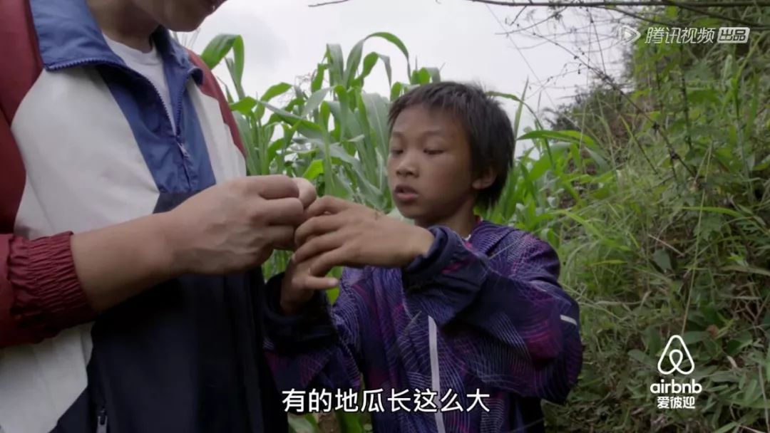 奇遇人生大鹏,奇遇人生大鹏插曲