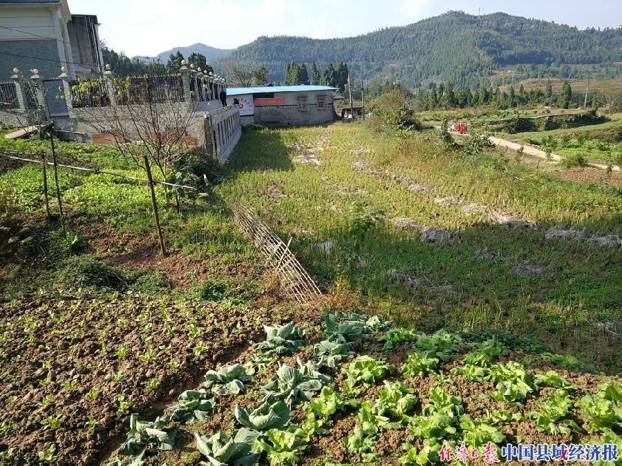 四川仪陇险岩村：开在深山里的扶贫车间