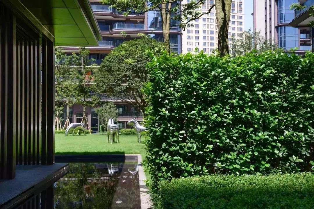 龙湖舜山府背后的故事,2024年重庆龙湖舜山府