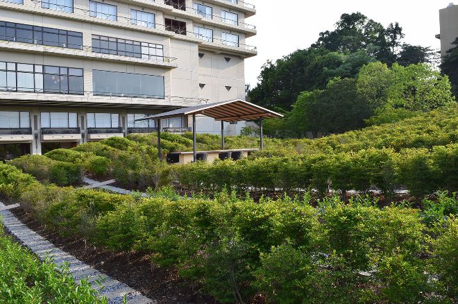 场地启发灵感“地尽其利”丨studioonsite事务所