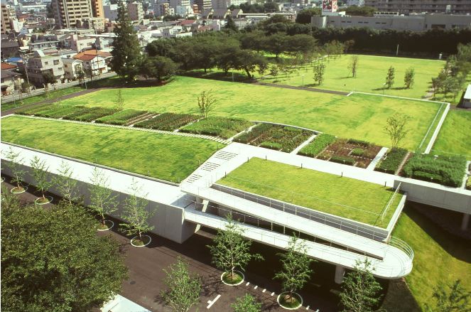 场地启发灵感“地尽其利”丨studioonsite事务所