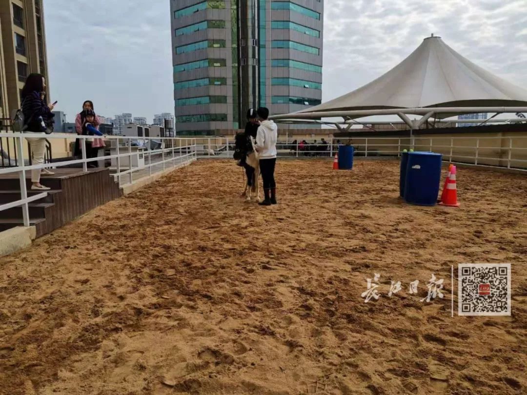 武汉一家商场出现“空中马场”！安全吗？卫生吗？