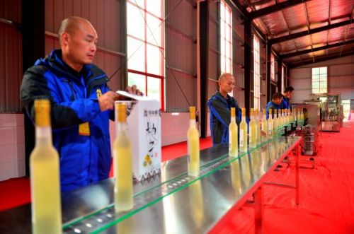 宣恩贡水柚直播间,宣恩贡水白柚节图片