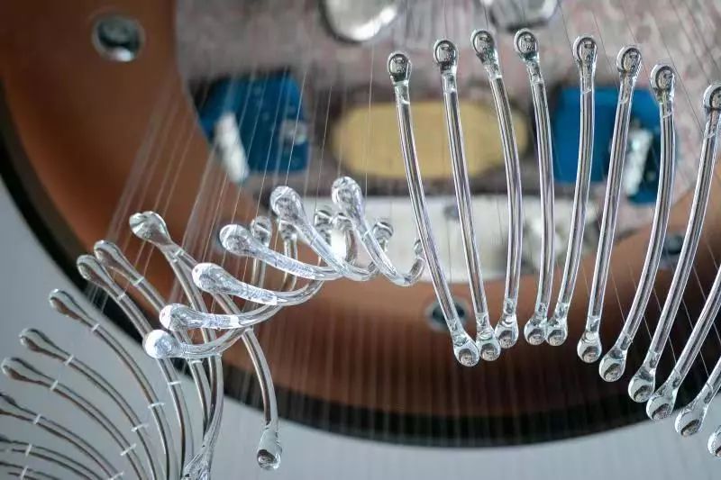 成都顶级商务宴请,成都商务宴请高档包间