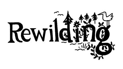 2017柯林斯年度热词,柯林斯高阶在线词典