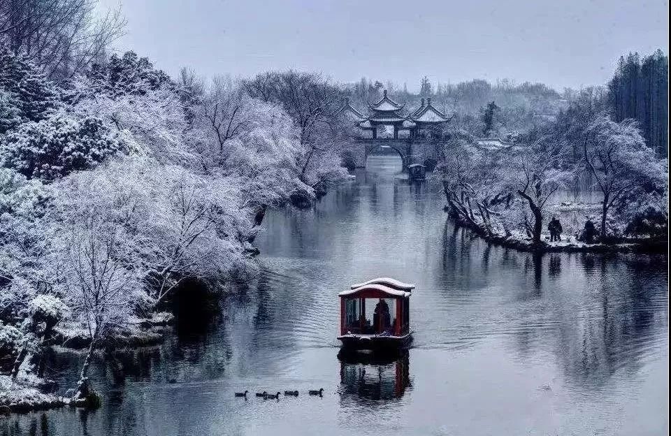 南方人在东北看雪,东北下雪夜里看雪
