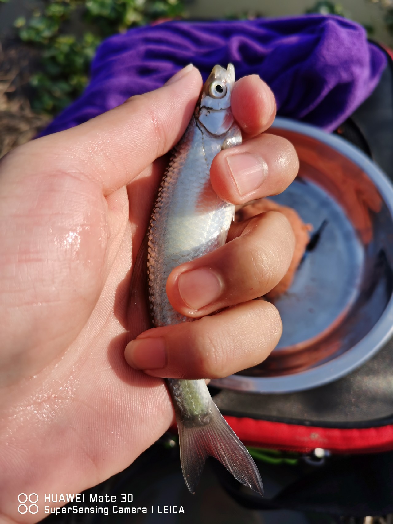 挤时间绑线组备战，没想到龙王爷给我来个透心凉