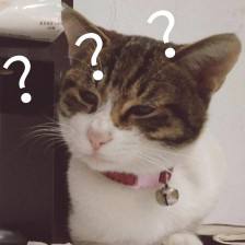 雪地代写订单,代写雪地表白