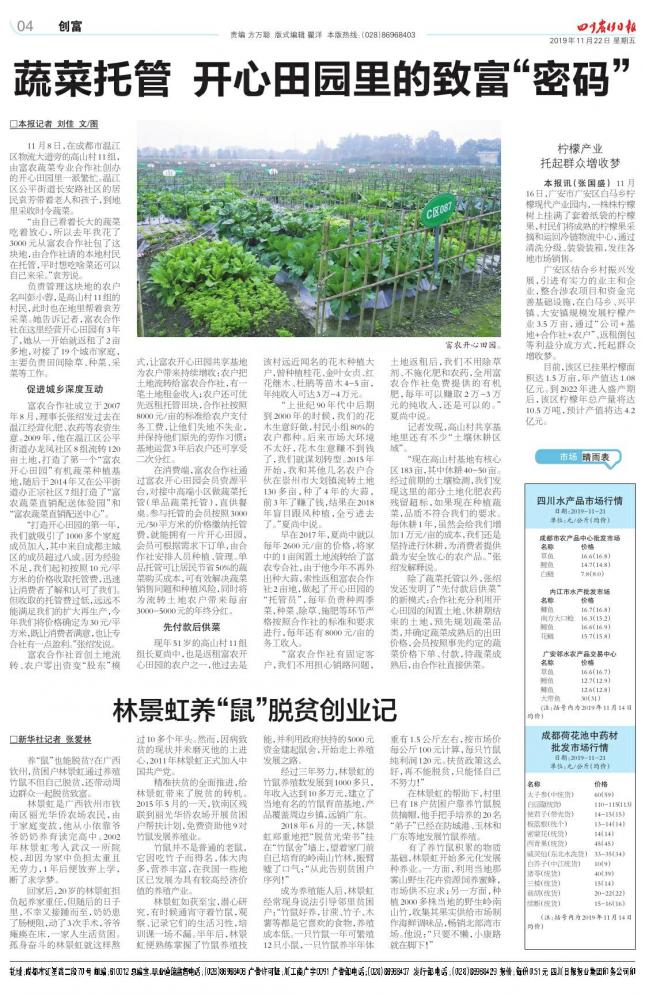 林景虹养“鼠”脱贫创业记