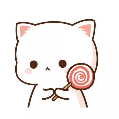 2023进博会商品推荐,进博会热销商品