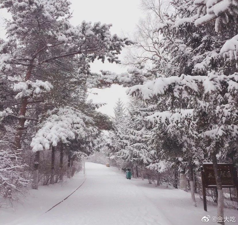 中国哪里开始下雪了,什么地方开始下雪了