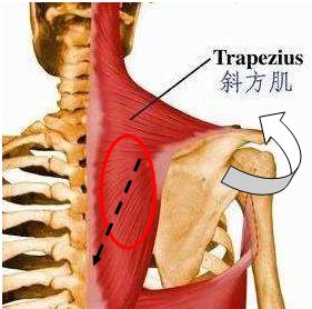 女明星和女明星同框颜值大对比,女明星红毯合照比美