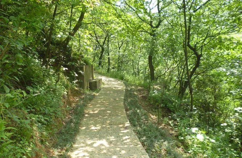 爬山推荐哪座山北仑,爬完桐庐所有的山