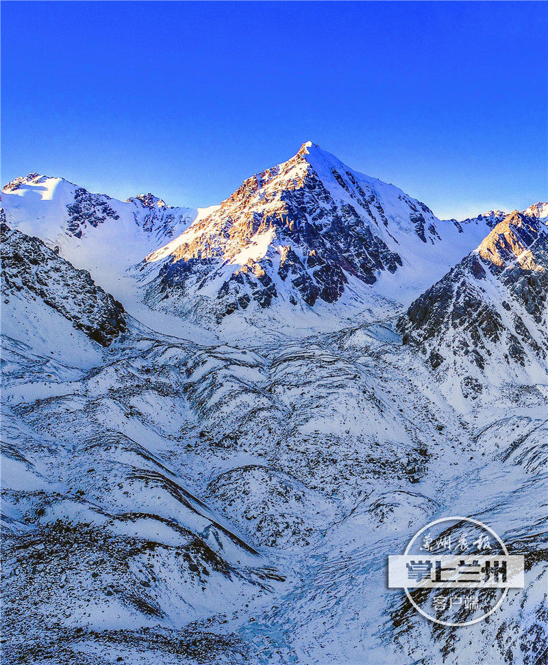 兰州市任我行,兰州任我行现状