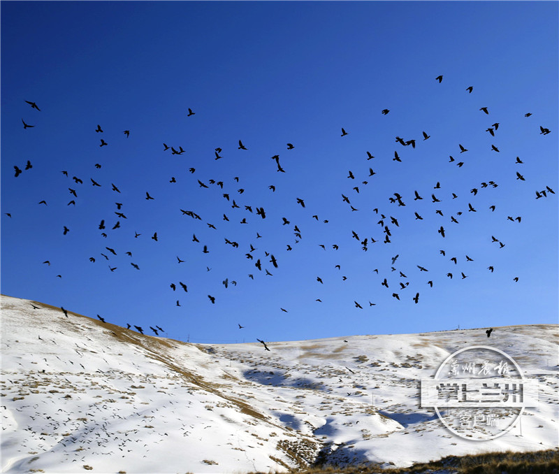 兰州市任我行,兰州任我行现状