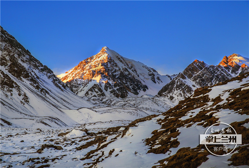 兰州市任我行,兰州任我行现状