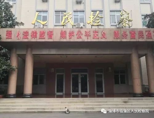 我是一只猫直播,我是一只猫现场