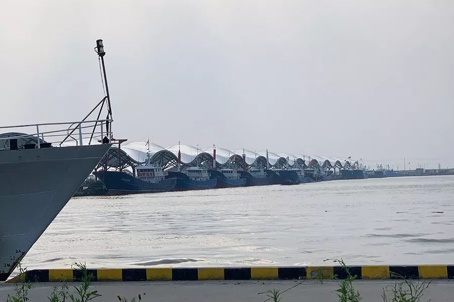 台湾评价吕四海鲜,吕四海鲜干货