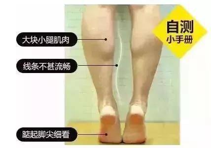 瘦腿小妙招2天见效视频,坐着也能瘦腿的瘦腿秘籍