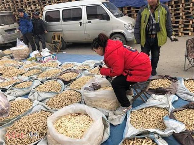 卖长白山土特产的直播间,长白山特产专卖直播