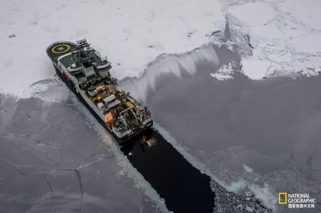 外星生物会长什么样子,外星生物真的存在吗