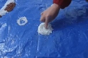 艺术创想是小神龙俱乐部的吗,小神龙俱乐部里的艺术创想